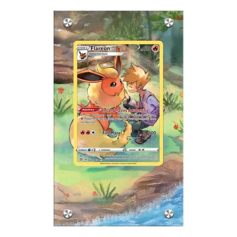 Dealdex Présentoir acrylique carte Pokémon – Pyroli