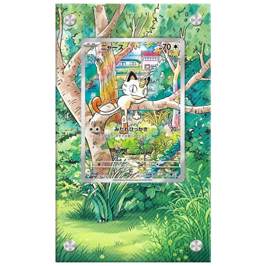 Dealdex Présentoir acrylique carte Pokémon – Miaouss