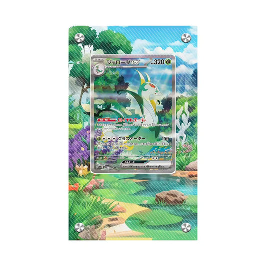 Dealdex Présentoir acrylique carte Pokémon – Majaspic