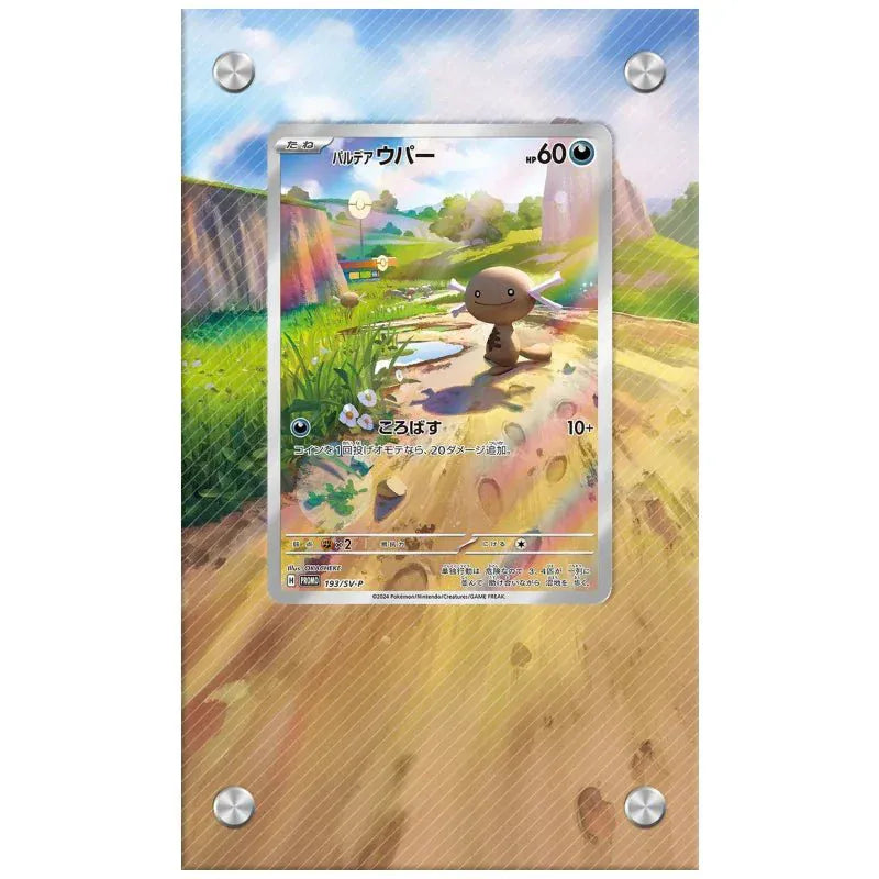 Dealdex Présentoir acrylique carte Pokémon – Axoloto