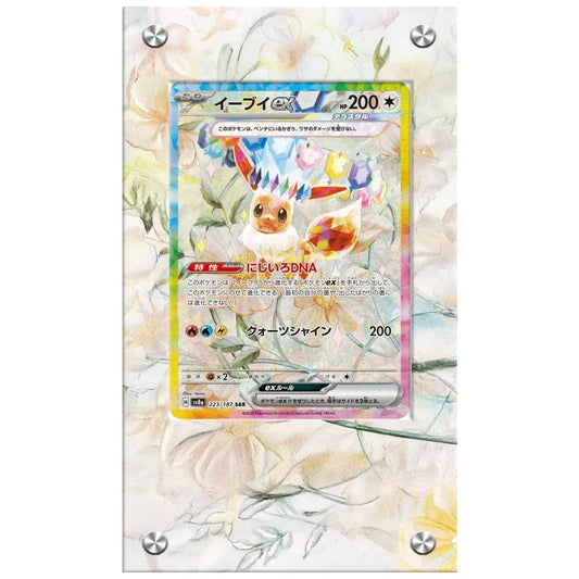 Dealdex Présentoir acrylique carte Pokémon – Evoli - EX